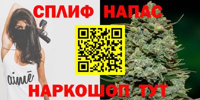 дмт Новодвинск