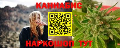 дмт Новодвинск