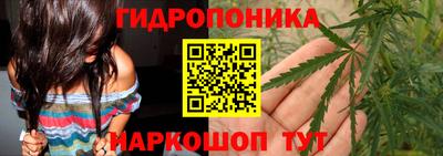 дмт Новодвинск