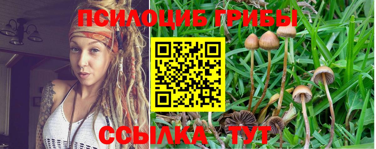 Георгиевск  Псилоцибиновые грибы GOLDEN TEACHER  Вход с VPN 
