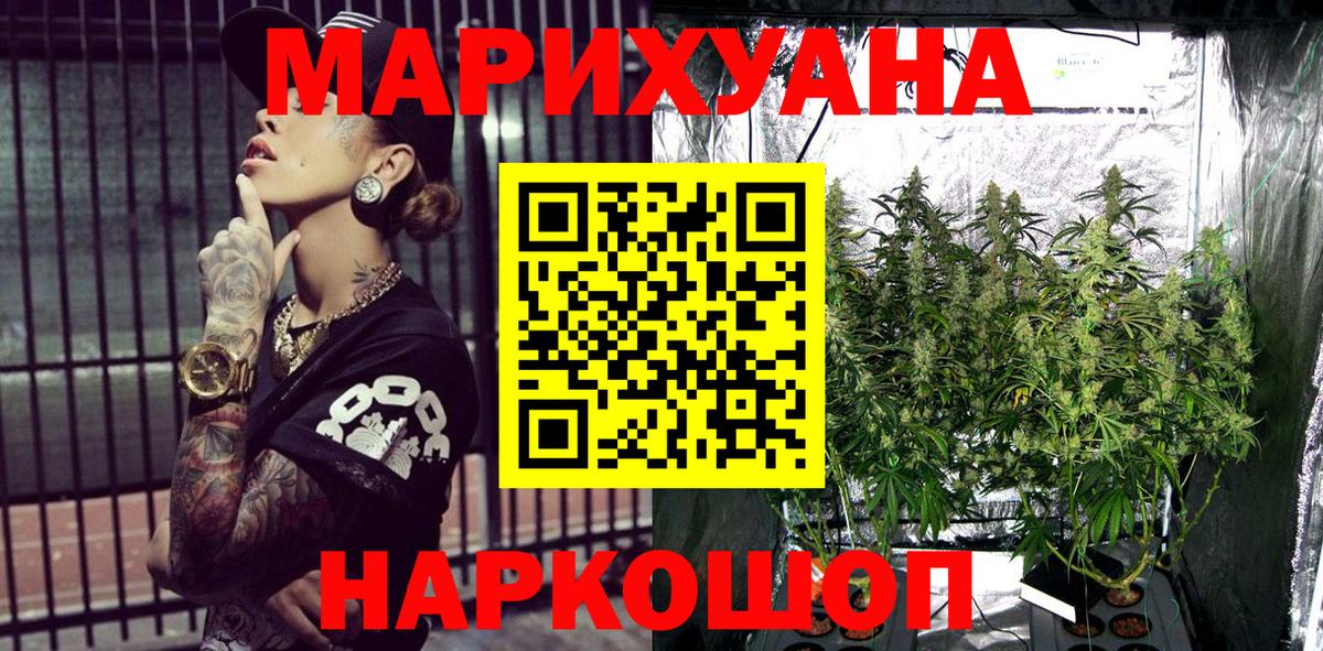 Шишки марихуана конопля Георгиевск