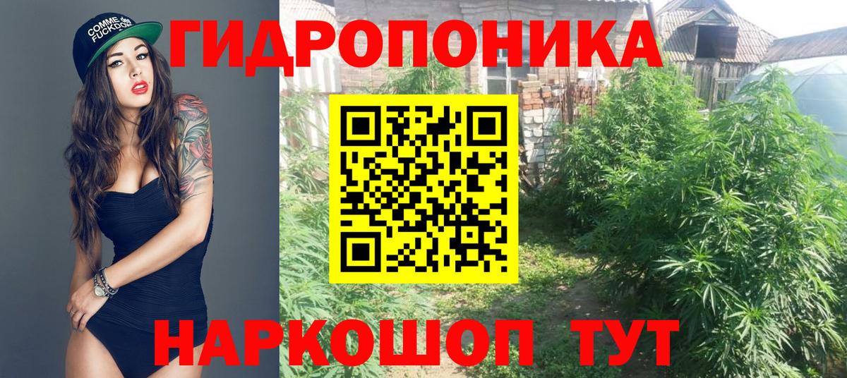МАРИХУАНА OG Kush  Бошки марихуана AK-47  Бошки марихуана семена  Георгиевск  Вход с VPN 